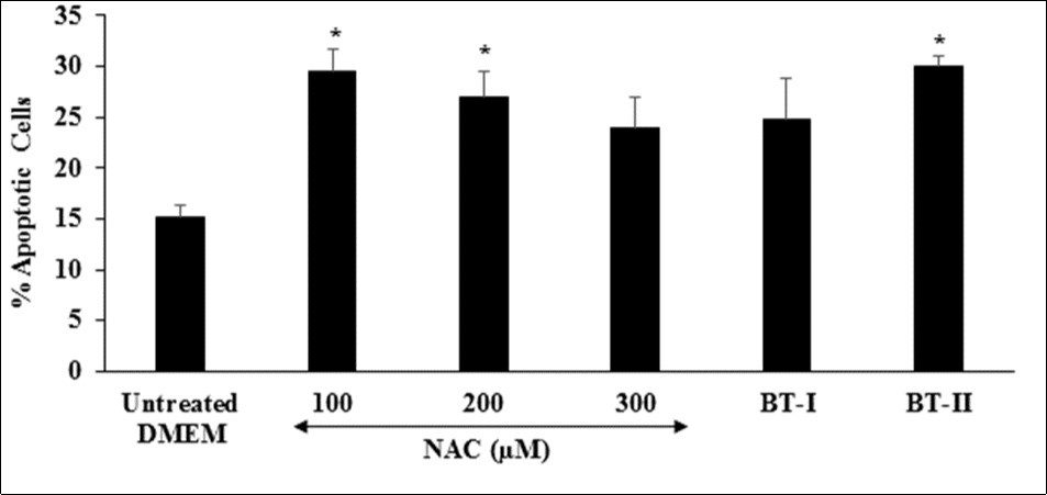  Effect of the test items on percent apoptotic cells in H9c2 cells after 24 hours of treatment. NAC: N-acetyl cysteine; BT-I: One-time Biofield Energy Treated DMEM; BT-II: Two-times Biofield    Energy Treated DMEM. *p≤0.05 vs. untreated DMEM.