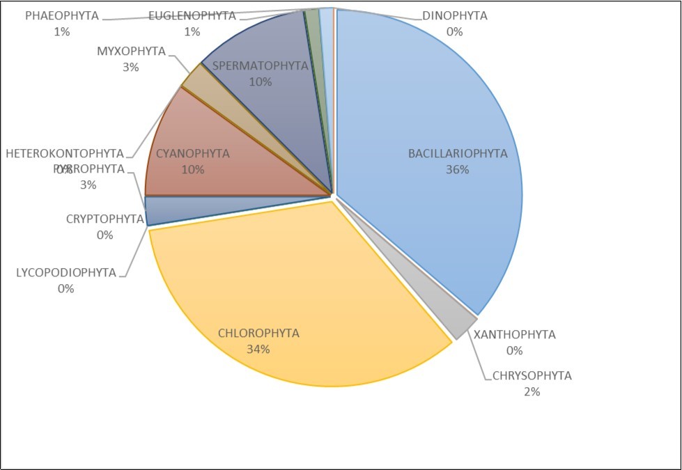  Distribution occurrence of each taxonomic group among the population of phytoplankton               between November 2013 to July 2014