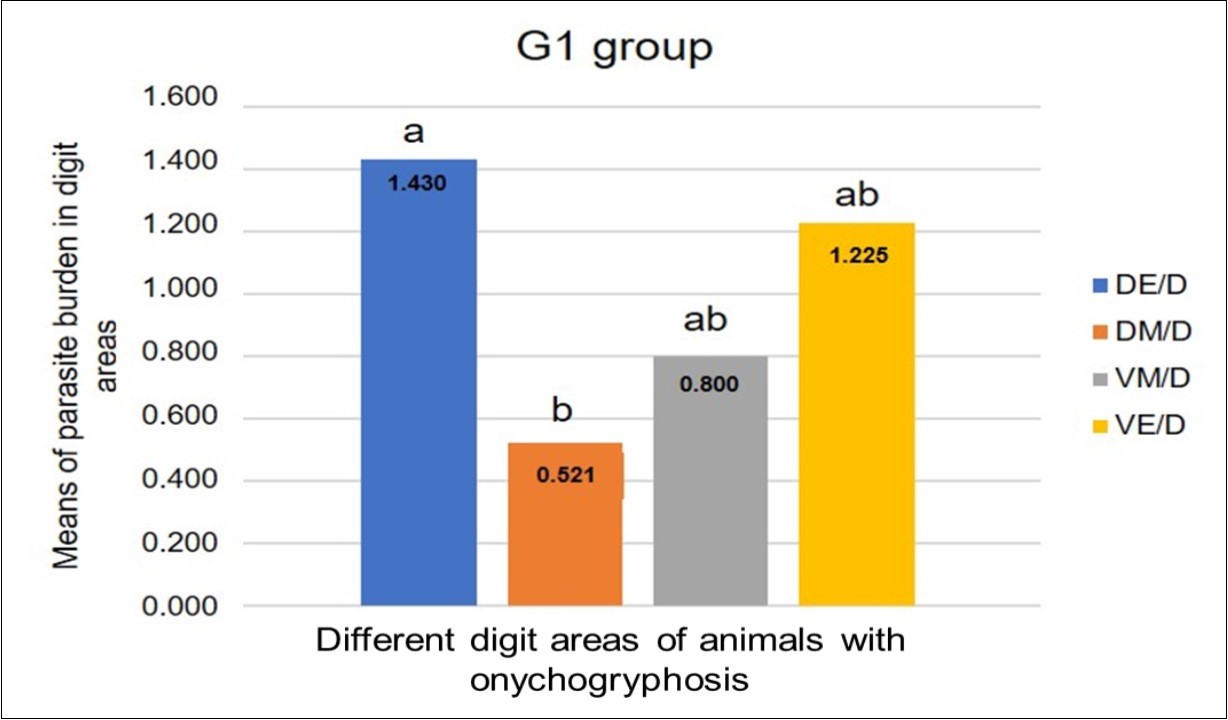  Parasite load means ascertained from the comparison between the different digit areas of animals with onychogryphosis (G1), that showed significant differences between digit areas (p=0.0085). Tukey’s test. DE/D = dorsal epidermis/dermis; DM/D = dorsal matrix / dermis; VM/D = ventral matrix / dermis; VE/D = ventral epidermis / dermis.