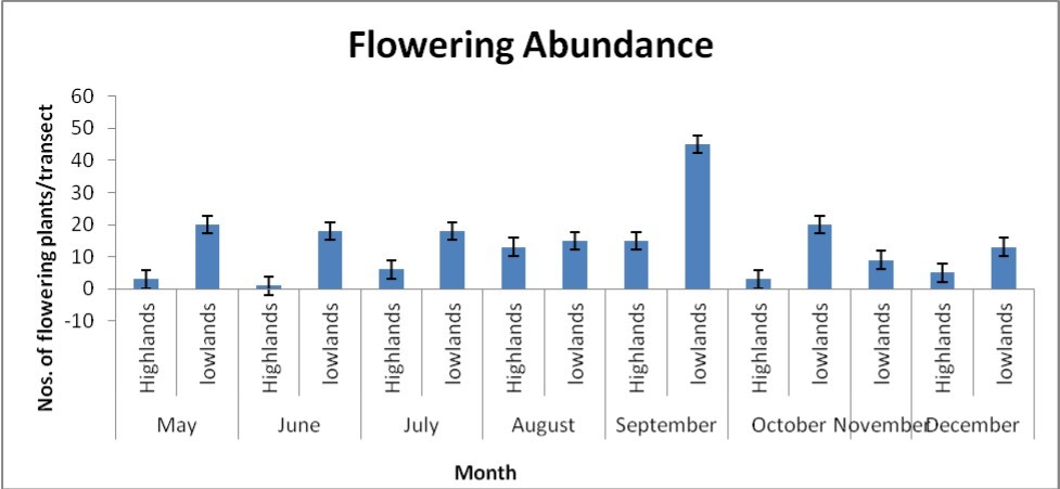  Abundance per transect across major flowering seasons.