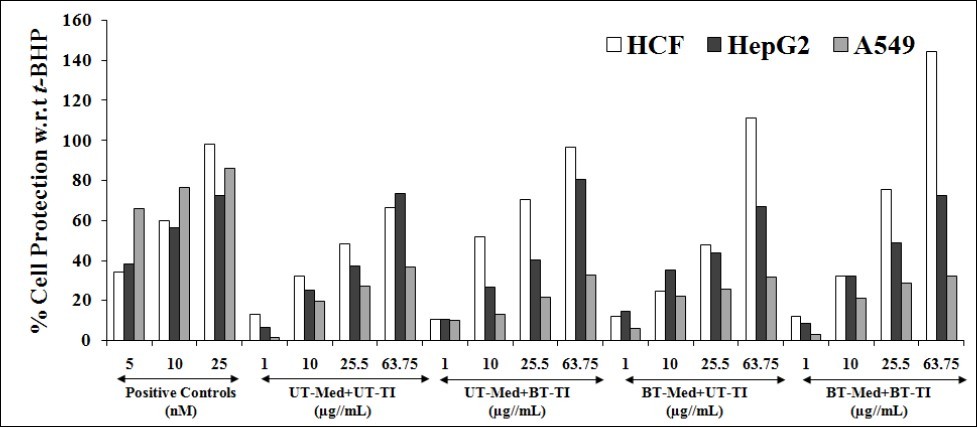  Cytoprotective action of the test formulation in human cardiac fibroblasts cells (HCF), human hepatoma cells (HepG2), and adenocarcinomic human alveolar basal epithelial cells (A549) against               tert - butyl hydroperoxide (t -BHP) induced damage. Trimetazidine (µM), silymarin (µg/mL), and              quercetin (µM) were used as positive control in HCF, HepG2, and A549 cells, respectively. UT:                           Untreated; Med: Medium; BT: Biofield Treated; TI: Test item.