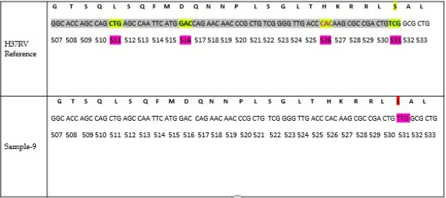  Nucleotide sequence aligned with gi|448814763:759807-763325 M tuberculosis H37Rv, reference                sequence for screening of rpoB gene mutations out of which only sample-9 shows mutation at codon 531.