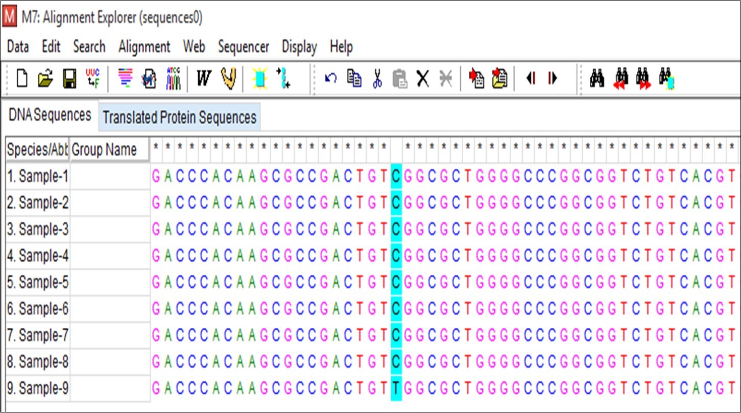  Sequence alignment using Clustal W in MEGA7 software tool.