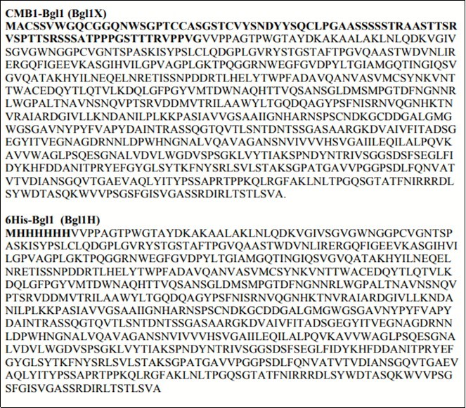  Protein sequences of Bgl1X and Bgl1H