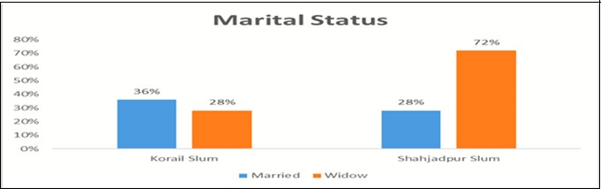  Respondents marital status