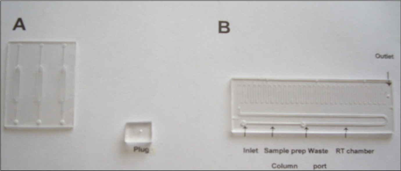  Microfluific devises employed in this research. (A) Low throughput (LT) device. (B) High throughput (HT) device showing three sections: sample preparation column, RT chamber and above them are PCR channels. Plug to seal inlet and outlet of the device is shown in the background.