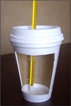  Styrofoam cup containing the LT microfluidic  device and a thermometer