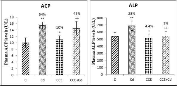 Plasma levels of total tartrate-resistant acid phosphatase (ACP) and total alkaline phosphatase (ALP) in the femurs of control and experimental rats after 10 weeks of treatment.