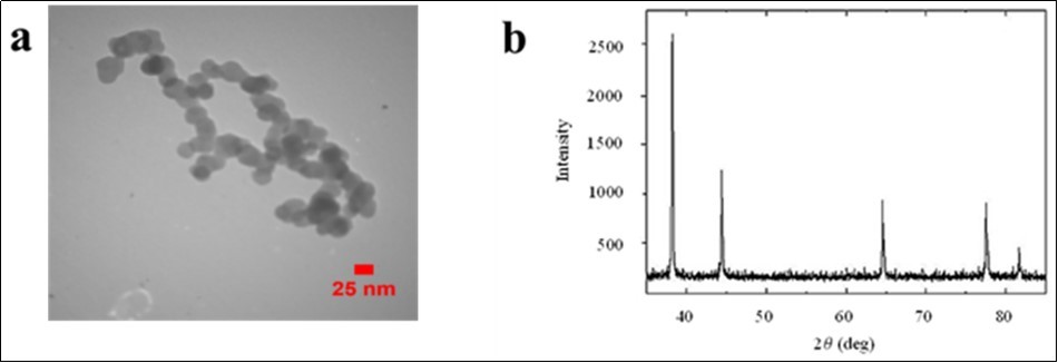  Result of nanoparticles TEM analyze, (b). The X-Ray result of nanoparticle that used in this study