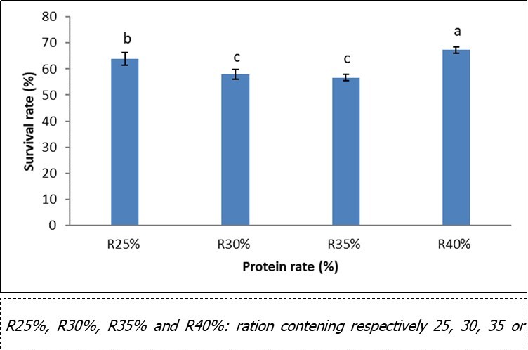  Survival rate according to the dietary protein level in pre-magnification of Labeobarbus batesii fry 