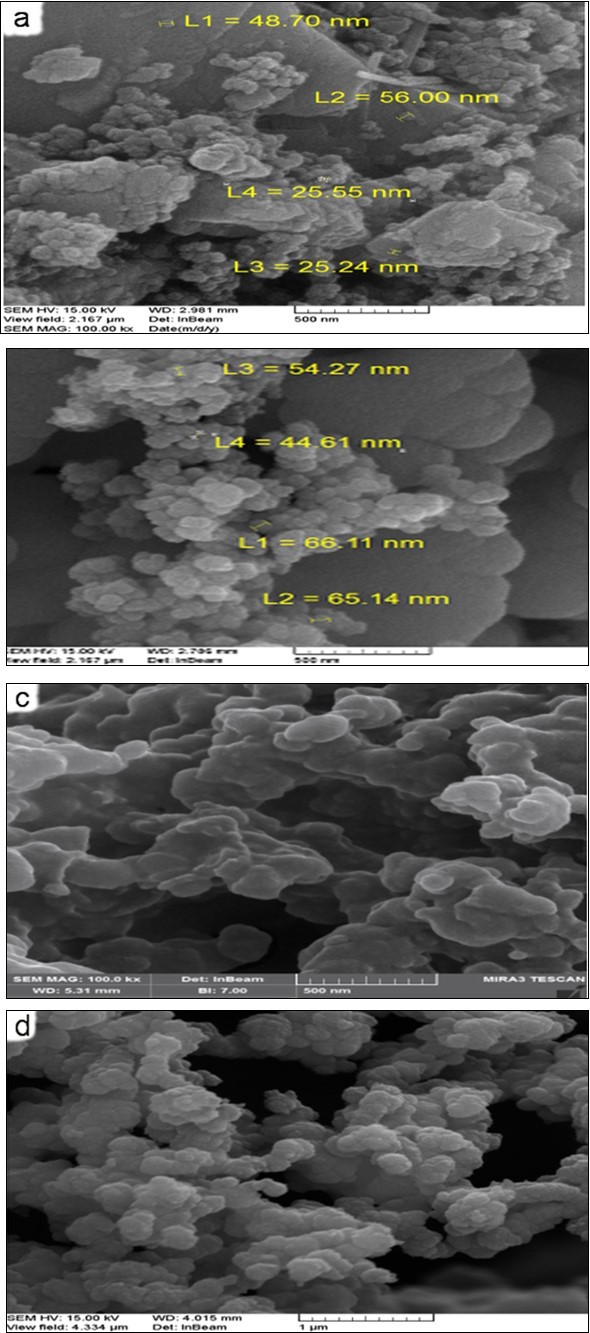 FESEM images of a) Cu b) CI NPs and c) Cu-PAA-PPy d) CI-PAA-PPy nano composite