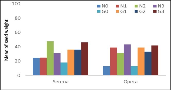  Impact of Guano and Nitrogen on Seed Weight of Serena and Opera cultivars (AlKadaro, Sudan, 2017)
