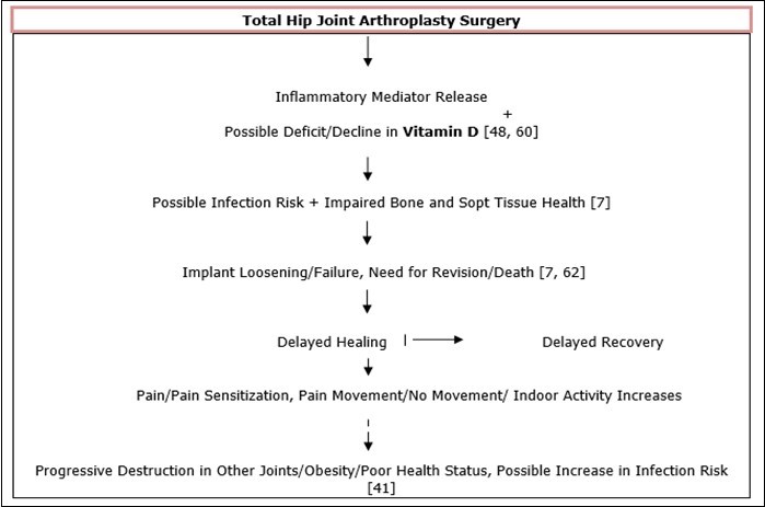 Hypothesized Interactive Mechanisms In Face Of Vitamin D Deficits At Time Of Hip Joint Total               Arthroplasty Surgery.