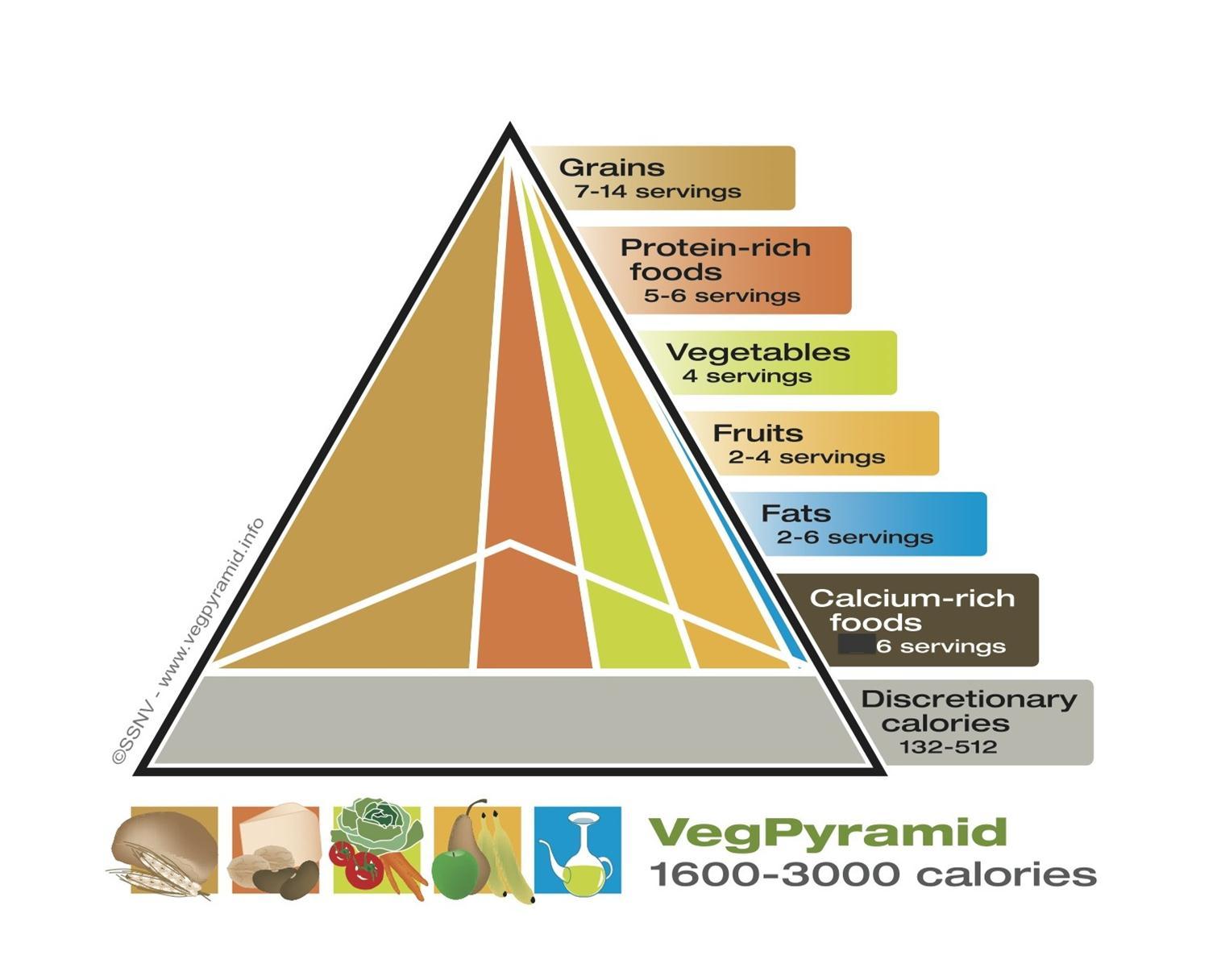  VegPyramid. Available at: http://www.vegpyramid.info (Accessed Aug 14, 2014; reproduced with permission)