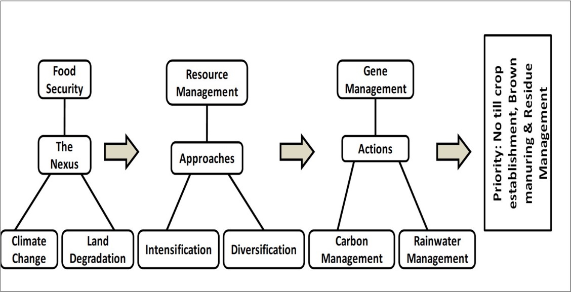  Priority actions for handling land degradation-food security-climate change nexus (Adapted from Abrol and Gupta, 2019)