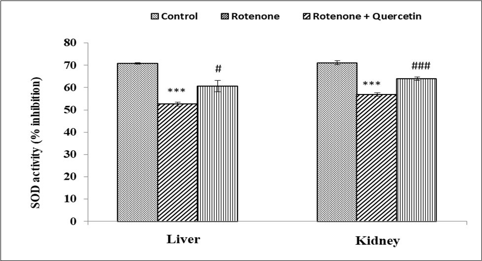  Effect of rotenone and co-treatment of rotenone and quercetin on superoxide              dismutase in liver and kidney of mice. The results were expressed as mean±SE (n=04). ***(p < 0.001) Significantly differs from control group, #(p<0.05) Significantly differs from            rotenone treated group.