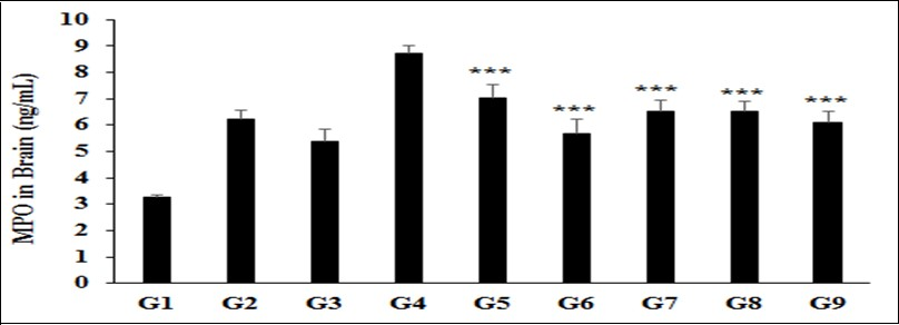  The effect of the test formulation on the level of brain myeloperoxidase (MPO) in Sprague Dawley rats. G1 as normal control (vehicle, 0.5% w/v CMC-Na); G2 as disease control (Cecal Slurry, LPS and E. coli + 0.5% CMC-Na); G3 as reference item (Cecal Slurry, LPS and E. coli + Dexamethasone); G4 includes Cecal Slurry, LPS and E. coli along with untreated test formulation; G5 as Cecal Slurry, LPS and E. coli along with the Biofield Energy Treated test formulation; G6 group includes Cecal Slurry, LPS and E. coli along with Biofield Energy Treatment per se to animals from day -15; G7 as Cecal Slurry, LPS and E. coli along with the Biofield Energy Treated test formulation from day -15; G8 group includes Cecal Slurry, LPS and E. coli along with Biofield Energy Treatment per se plus the Biofield Energy Treated test formulation from day -15, and G9 group denoted Cecal Slurry, LPS and E. coli along with Biofield Energy Treatment per se animals plus the untreated test formulation. Values are presented as mean ± SEM (n=6-9). ***p≤0.001 vs. G4.