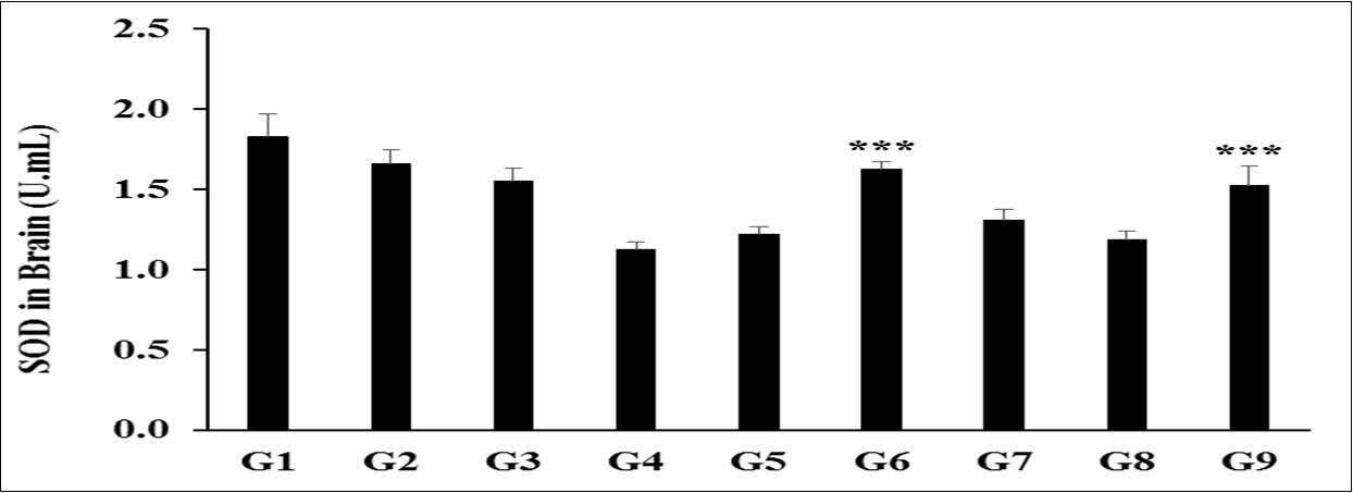  The expression level of brain superoxide dismutase (SOD) after administration of the                     Biofield Treated test formulation and Biofield Energy Healing/Blessing per se in Sprague Dawley rats. ***p≤0.001 vs. G4.