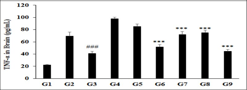  Expression of brain Tumour Necrosis Factor Alpha (TNF-α) after administration of Biofield                  Treated/Blessed test formulation and Biofield Energy Healing/Blessing per se to the Sprague Dawley rats. ###p≤0.001 vs. G2 and ***p≤0.001 vs. G4.