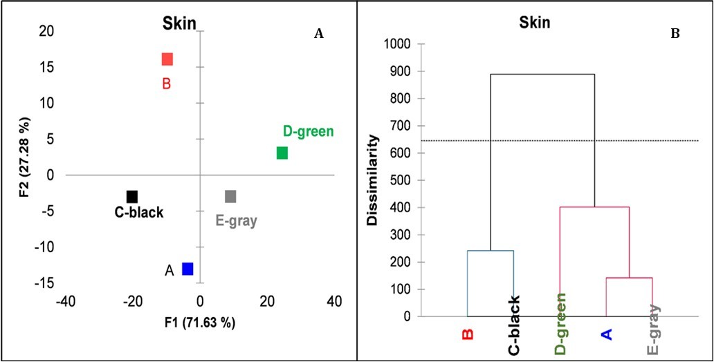  Principal coordinate analysis and dendrogram of the five treatments based on the average NIR spectra of the berry skin