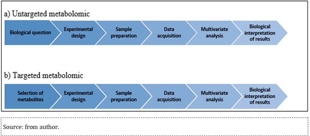  Workflow summarized in untargeted and target metabolomics.