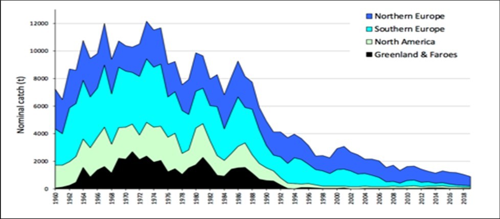  Total reported catches of Atlantic salmon (tonnes weight) in the fisheries within four North                    Atlantic regions from 1960–2019, as reported by the International Council for Exploration of the Sea 28.