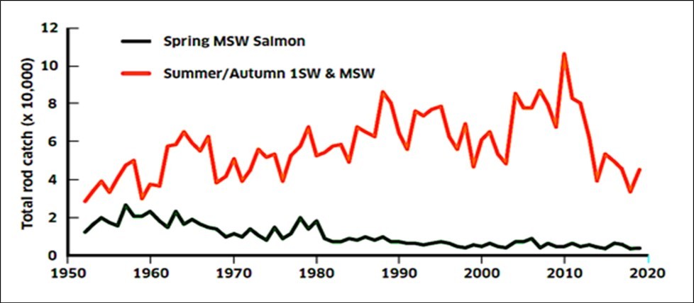  Total reported rod catches in Scotland from1952 to 2020, as presented by the Scottish                            Government, available as: salmon-fishery-statistics-2020-season.pdf, on the website https://www.gov.scot. The annual rod catches generally increased over the period 1952-2010, but then showed a decline. ISW are one-sea-winter salmon, whereas MSW are multi-sea-winter salmon. 