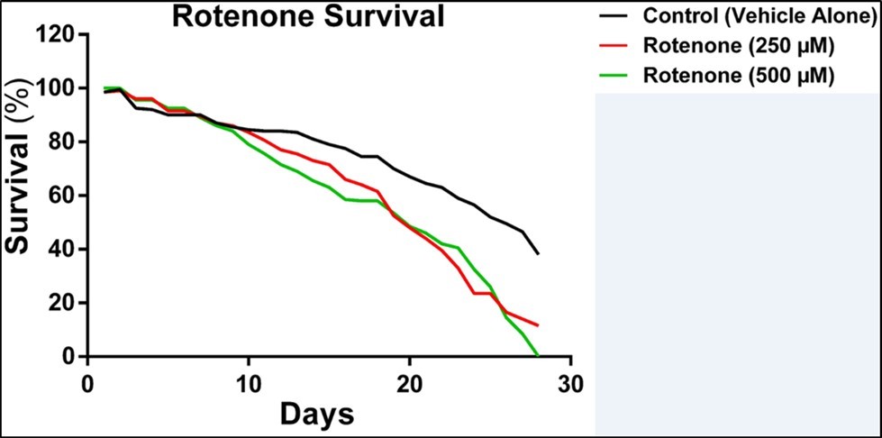  Influence of rotenone on survival of D. melanogaster after 28 days of treatment 