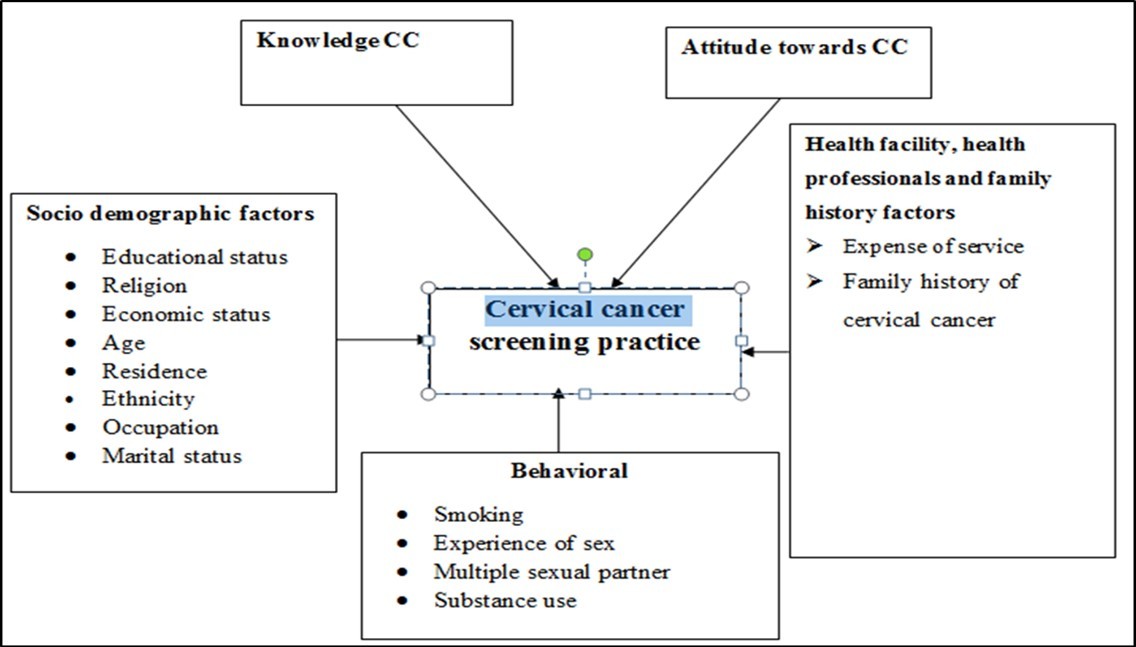  Conceptual framework for factors influencing cervical cancer screening practice taken from review literature and adapted contextually
