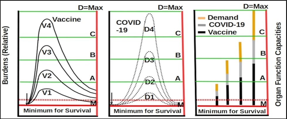  Personal vital organs function capacities are indicated by line M, A, B, C and D with M as the          minimum for sustaining life and D as the maximum. A young and healthy person has huge unused functional capacities. Vaccine burden is shown in the left diagram, infection bur- den is shown in the middle diagram, and the right diagram shows the combination of vaccine, COVID-19 infection and life activity burdens. A  person’s ability to survive from the vaccine or infection depends on the total functional capacities. The             person can survive if the total burden from all sources is within the organ functional capacities.