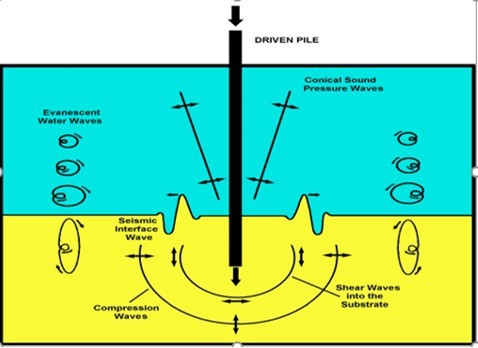 A seismic interface wave (ground roll), is created here by the impact of a driven pile. The impact energy excites vibration waves traveling radially outward from a central point source. A pile driver, struck by a vertical hammer creates sound pressure waves in water and vibrational waves within the substrate. The motions of some particles, above and below the seismic interface. waves, are shown using hodographs. 