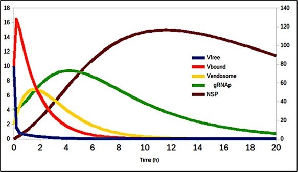  Evolution of virus transmission dynamics in the cell entry process (de- tails in 20).
