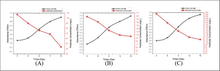  Graph of OD Value and Pesticide ConcentrationBacillus subtilis Note: A) Pesticide Concentration 100mg/L; B) Pesticide Concentration 200mg/L; C) Pesticide Concentration 300mg/L.