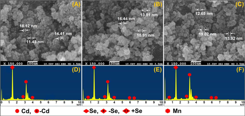 SEM photographs (A-C) and EDS spectra (D-F) of 0%, 0.25%, and 0.75% Mn2+ doped CdSe NCs, respectively