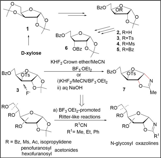  Synthetic study of N-glycosyl oxazolines from sugar acetonides