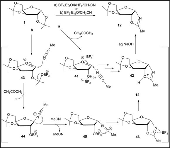   Proposed intermediates during BF3.Et2O-promoted  reactions of diacetonide 1 with acetonitrile