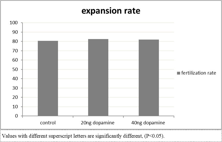 Figure 2. Effect of in vitro maturation media supplementation with dopamine on the expansion rate.