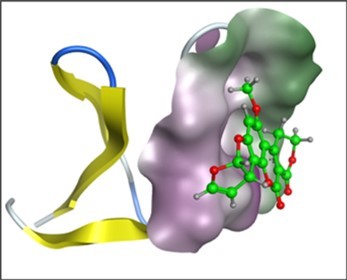 Journal of Peptides - Solid Phase Peptide Synthesis