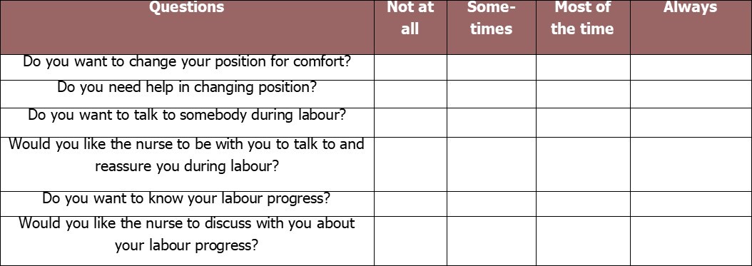  Examples of questions in LSNAT (Labour Support Need Assessment Tool)
