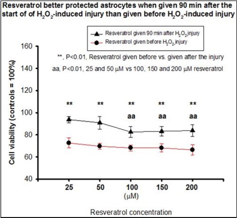  The effects of different order of resveratrol treatment (given 90 min before or 90 min after H2O2-induced injury) on cell viability were evaluated in astrocytes. Resveratrol administered 90 min after the initiation of 0.5mM H2O2–induced injury (black line) provided significantly better cytoprotection than resveratrol administered before the initiation of H2O2–induced injury (red line). Although all five concentrations of post-injury resveratrol (25, 50, 100, 150 and 200 µM) provided significant protection than the non-protected controls, resveratrol at 25 and 50 μM produced better cytoprotection than resveratrol at 100, 150 and 200 μM. **, P<0.01, differences in cell viability between resveratrol treatment given 90 min before, and 90 min after 0.5 mM H2O2–induced injury.aa, P<0.01, astrocytes with 25 and 50 μM resveratrol treatment showed better viability than astrocytes with 100, 150 and 200 μM resveratrol treatment given 90 min after 0.5mM H2O2–induced injury.