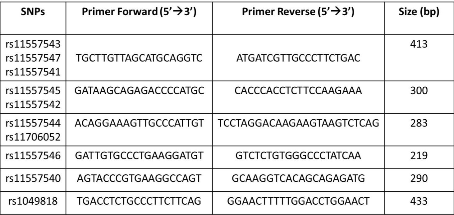  Characteristics of the primers and amplicons for 10 SNPs in IMPDH2 gene