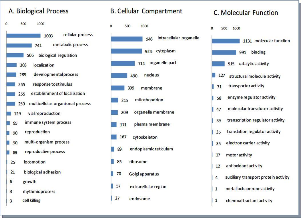  Classifications of the 1224 unique proteins by Biological process, Cellular Compartment and Molecular function.