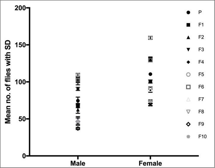  cve Female versus cve Male. A column graph showing the mean number of female and male flies in duplicates collected over ten generations in the upward selection line.