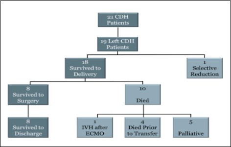  Flowchart showing outcomes of prenatally diagnosed CDH patients with both prenatal U/S LHR and MRI FLV obtained at Children’s Hospital of Wisconsin.  