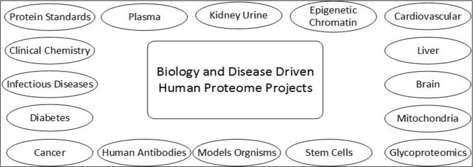  Components of B/D-HPPO describing involvement of different samples in human proteome project 