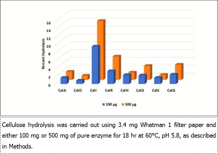 Hydrolysis of filter paper by high and low dosages of Cthe enzymes.