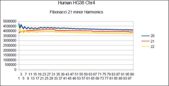  Chromosome4 Sapiens HG38 Harmonic resonance of Fibonacci 21.