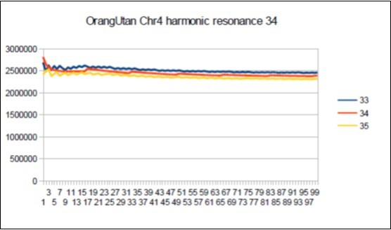  Orangutan chromosome4 harmonic Fibonacci resonance 34. 