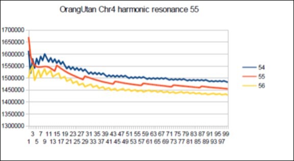  Orangutan chromosome4 harmonic Fibonacci resonance 55.