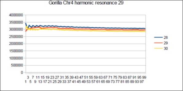  Gorilla chromosome4 harmonic Lucas resonance 29. 